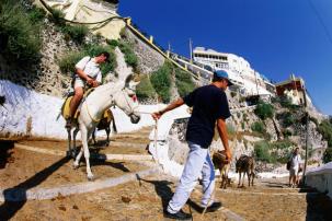 Old port donkey ride
